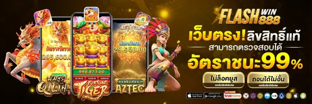 flashwin888 ทางเข้า